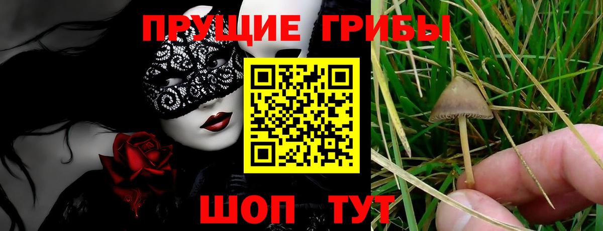 Ухта  Псилоцибиновые грибы Psilocybe  Псилоцибиновые грибы GOLDEN TEACHER  Вход с VPN 